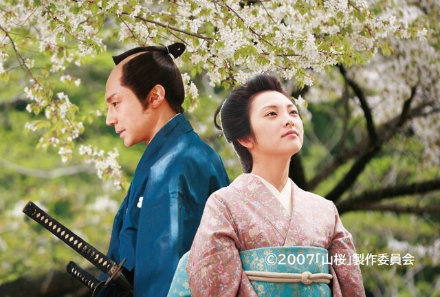 山桜.jpeg
